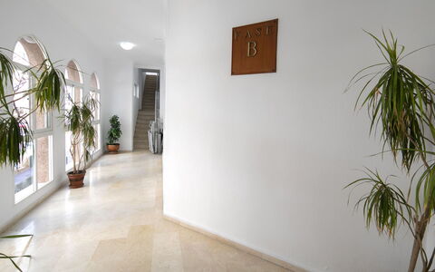 Perlamar 4: Plant, Property, Building, Houseplant, Wood, Interior Design, Floor, Flooring, Flowerpot, Art