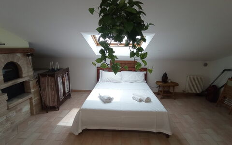 L'attico Di Castelfidardo: Plant, Furniture, Flower, Building, Comfort, Wood, Houseplant, Interior Design, Floor, House