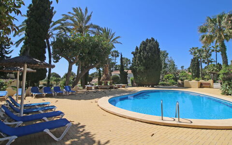 Las Cabañas: Water, Sky, Property, Plant, Azure, Tree, Blue, Shade, Botany, Swimming Pool
