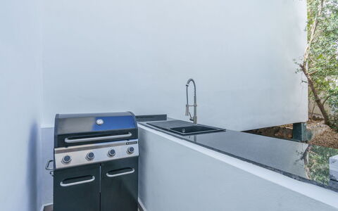 Kristina: Cabinetry, Kitchen Stove, Plant, Gas Stove, Kitchen, Cooktop, Major Appliance, Gas, Tap, Stove