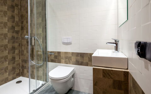 Zakopane 460: Brown, Tap, Plumbing Fixture, Property, Bathroom Sink, Sink, Building, Bathroom, Black, Purple