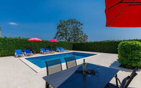 Goga: Table, Furniture, Sky, Property, Azure, Chair, Nature, Shade, Plant, Outdoor Furniture