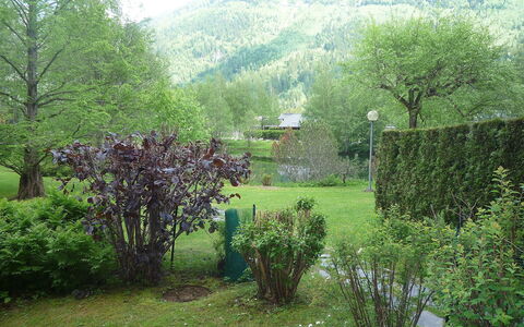 Chamonix - les Praz 100: Nature, Natural Landscape, Green, Vegetation, Tree, Garden, Grass, Property, Nature Reserve, Hill Station
