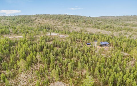 Villa Horihane: Tree, Natural Environment, Forest, Landscape, Ecoregion, Land Lot, Plant Community, Grove