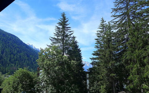 Argentière 200: Tree, Balsam Fir, Shortleaf Black Spruce, Larix Lyalliisubalpine Larch, Tropical And Subtropical Coniferous Forests, Lodgepole Pine, Sugar Pine, Biome, Spruce-Fir Forest, Oregon Pine