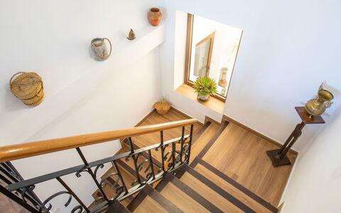 Patio de Las Granadas: Picture Frame, Stairs, Wood, Interior Design, Plant, Wood Stain, Floor, Flooring, Building, House