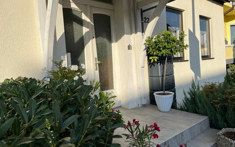 Schillerplatz: Plant, Property, Building, Botany, Window, Flower, Architecture, Flowerpot, Wall, Line