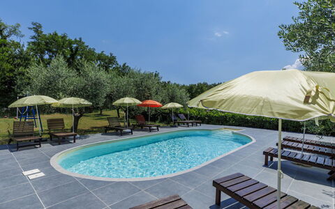 Labin 389: Swimming Pool, Outdoor Furniture, Shade, Garden, Landscaping, Lawn, Yard, Resort, Chair, Eco Hotel