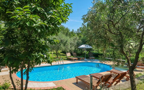 Labin 389: Water, Plant, Property, Furniture, Swimming Pool, Sky, Chair, Outdoor Furniture, Shade, Tree