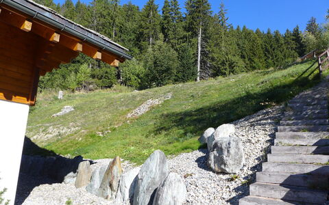 Résidence Orana 3: Sky, Plant, Natural Landscape, Slope, Tree, Wood, Bedrock, Biome, Landscape, Formation