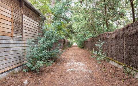 Cottage Etoile de Mer: Plant, Road Surface, Land Lot, Wood, Tree, Grass, Natural Landscape, Groundcover, Road, Shrub