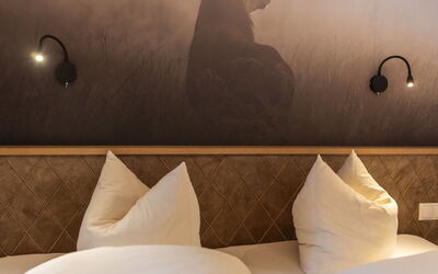 Sonnenhof Top 1 107.1: Furniture, Comfort, Light, Lamp, Interior Design, Pillow, Wood, Wall, Living Room, Tints And Shades
