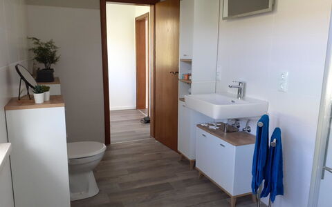 Am Meintetal: Mirror, Sink, Property, Bathroom, Bathroom Sink, Plant, Tap, Plumbing Fixture, Interior Design