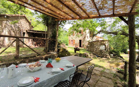 Turi: Plant, Table, Property, Botany, Building, Outdoor Table, Outdoor Furniture, Wood, Flowerpot, Tree