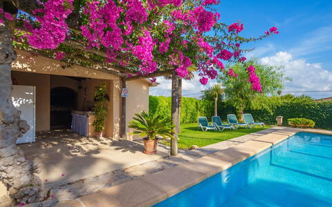 La Truyola Pool Finca: Building, Plant, Flower, Water, Sky, House, Lighting, Cloud, Rectangle, Swimming Pool