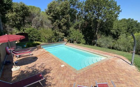 Villa le Querce: Sky, Plant, Swimming Pool, Water, Shade, Tree, Outdoor Furniture, Rectangle, Grass, Building