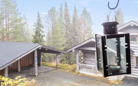Rukanhippu: Winter, Log Cabin, Larch, Freezing, Pine Family, Evergreen, Siding