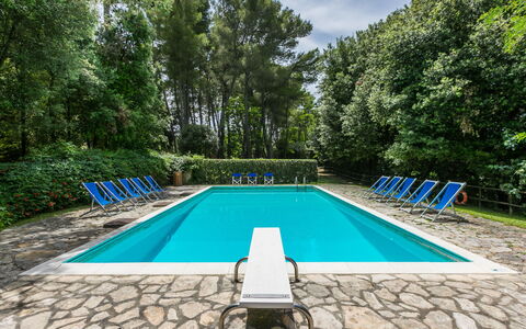 Saletto: Water, Plant, Furniture, Swimming Pool, Sky, Azure, Rectangle, Outdoor Furniture, Shade, Cloud