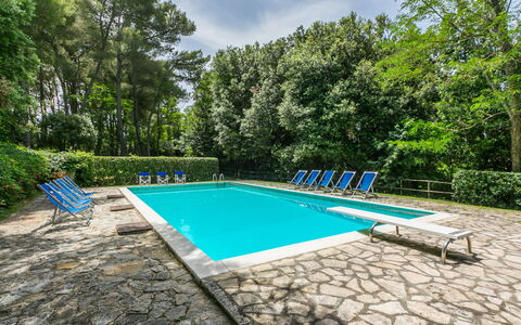 Saletto: Water, Plant, Sky, Swimming Pool, Cloud, Tree, Shade, Rectangle, Outdoor Furniture, Grass