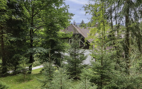 Harrachov 130: Snow, Sky, Mountain, Window, Cloud, Building, House, Slope, Tree, Cottage