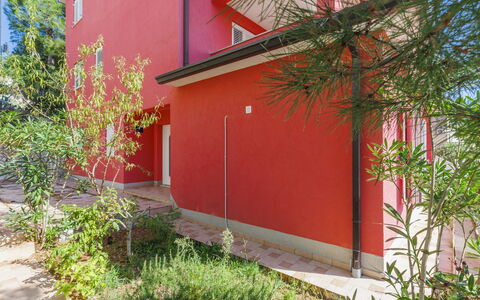 Flores: Plant, Property, Building, Leaf, Botany, Vegetation, Land Lot, Window, Wall