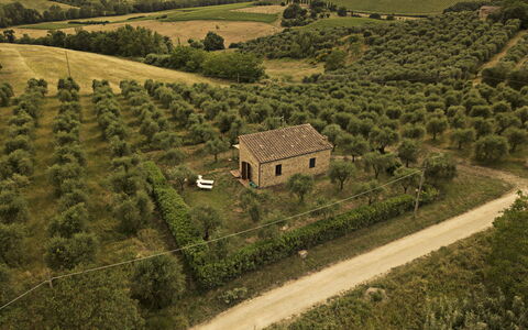 Montauto: Plant, Building, Natural Landscape, House, Land Lot, Highland, Tree, Agriculture, Grassland, Grass