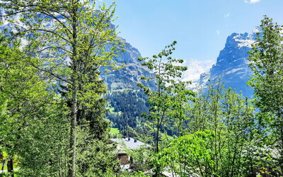 Chalet zur Höhe