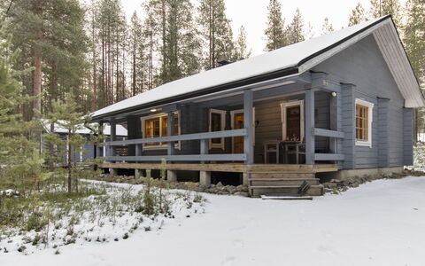Kuusenkolo: Wood, Cottage, Log Cabin, Forest, Shed, Garden Buildings, Larch, Woodland, Wood Stain