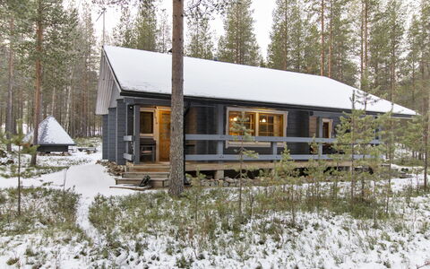 Kuusenkolo: Wood, Cottage, Log Cabin, Forest, Shed, Garden Buildings, Larch, Woodland, Wood Stain