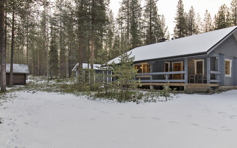 Kuusenkolo: Wood, Cottage, Log Cabin, Forest, Shed, Garden Buildings, Larch, Woodland, Wood Stain
