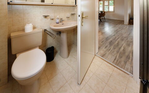 Chalet Dori: Flooring, Plumbing Fixture, Bathroom Sink, Wall, Floor, Interior Design, Wood, Bathroom, Sink, Toilet