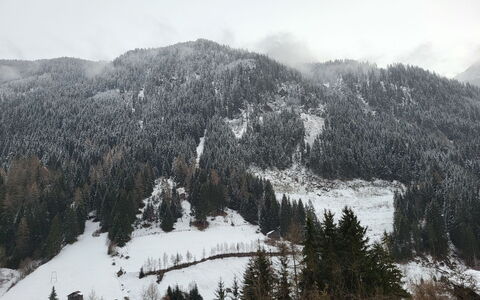 Stark: Sky, Mountain, Cloud, Snow, Plant, Slope, Tree, Highland, Larch, Natural Landscape