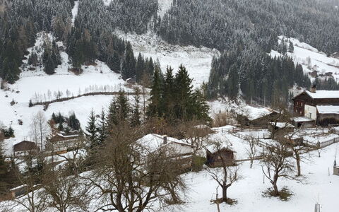 Stark: Snow, Mountain, Plant, Natural Landscape, Tree, Slope, Larch, Biome, Atmospheric Phenomenon, Evergreen