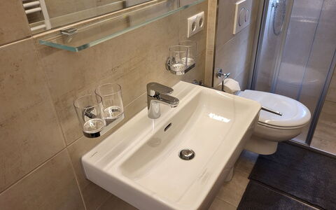 Stark: Brown, Tap, Plumbing Fixture, Bathroom Sink, Sink, Property, Mirror, Bathroom, Interior Design