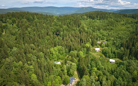 Sunny Slope & Sauna: Tree, Natural Environment, Nature, Leaf, Vegetation, Forest, Landscape, Ecoregion, Plant Community, Land Lot