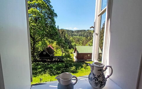 Sunny Slope & Sauna: Tableware, Window, Drinkware, Dishware, Sky, Table, Cup, Building, Plant, Serveware