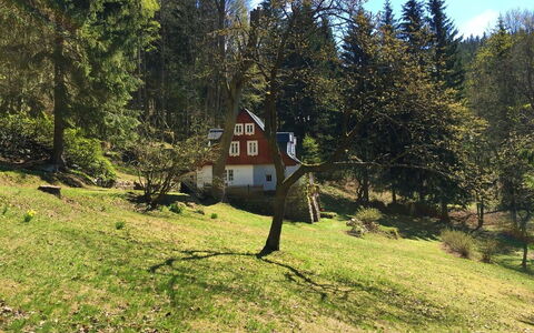 Sunny Slope & Sauna: Plant, Natural Landscape, Cloud, Natural Environment, Sky, Tree, House, Branch, Vegetation, Land Lot