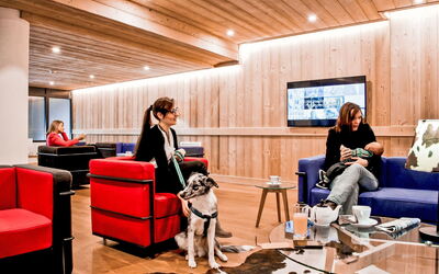 Accommodation:&nbsp;Odalys Collection les Fermes de Chatel 800.3