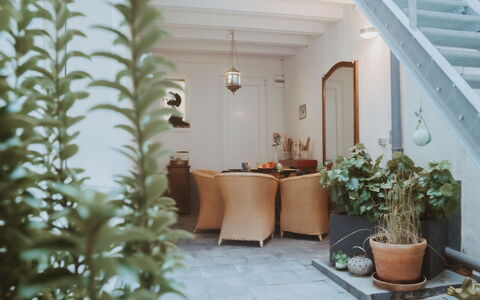 Historical and Spacious Villa Anaïs: Plant, Building, Flowerpot, Houseplant, Interior Design, Floor, Wall, Wood, Real Estate, Terrestrial Plant
