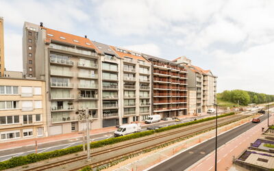 Accommodation:&nbsp;Andrei with Parking in the House 810.2