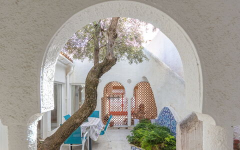 Los Abuelos: Plant, Building, Tree, House, Woody Plant, Art, Shade, Facade, Landscape, Arch