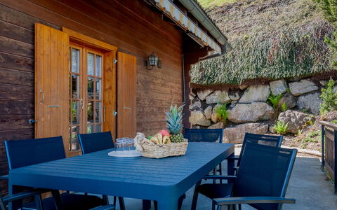 Anusach: Table, Furniture, Property, Plant, Flowerpot, Azure, Chair, Interior Design, Outdoor Furniture, Houseplant