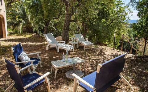 La Planquette: Plant, Furniture, Tree, Outdoor Bench, Shade, Outdoor Furniture, Wood, Chair, Woody Plant, Leisure