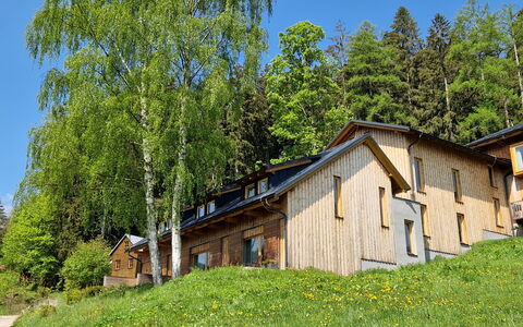 Pec Pod Snezkou 349: Plant, Building, Sky, Tree, Natural Landscape, Window, Land Lot, House, Grass, Rural Area