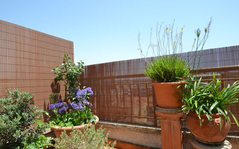 Indasol: Water, Plant, Sky, Building, Swimming Pool, Tree, Azure, Window, Real Estate, Leisure