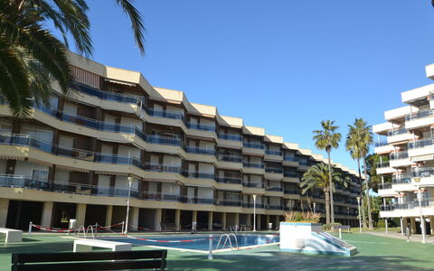 Sol España: Building, Sky, Plant, Azure, Tree, Window, Condominium, Urban Design, Architecture, Arecales