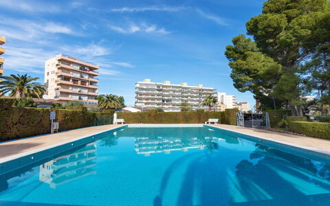 Miami Palace: Water, Plant, Sky, Building, Swimming Pool, Tree, Azure, Window, Real Estate, Leisure