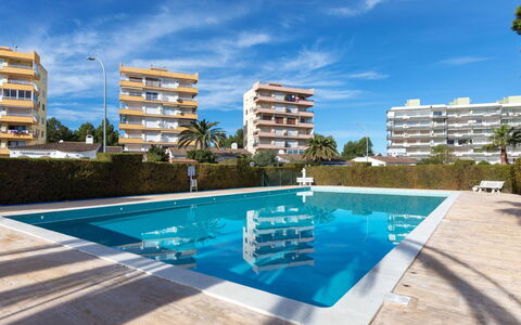 Miami Palace: Water, Plant, Sky, Building, Swimming Pool, Tree, Azure, Window, Real Estate, Leisure