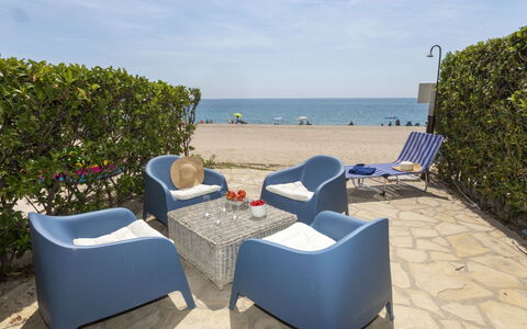 Miami Palace: Sky, Cloud, Furniture, Plant, Water, Shade, Outdoor Furniture, Chair, Beach, Comfort