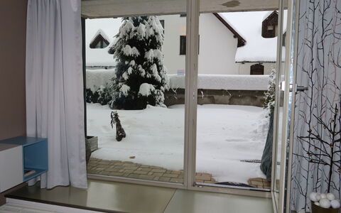 Harrachov 67: Window, Plant, Snow, Shade, Interior Design, Wood, Curtain, Tree, Twig